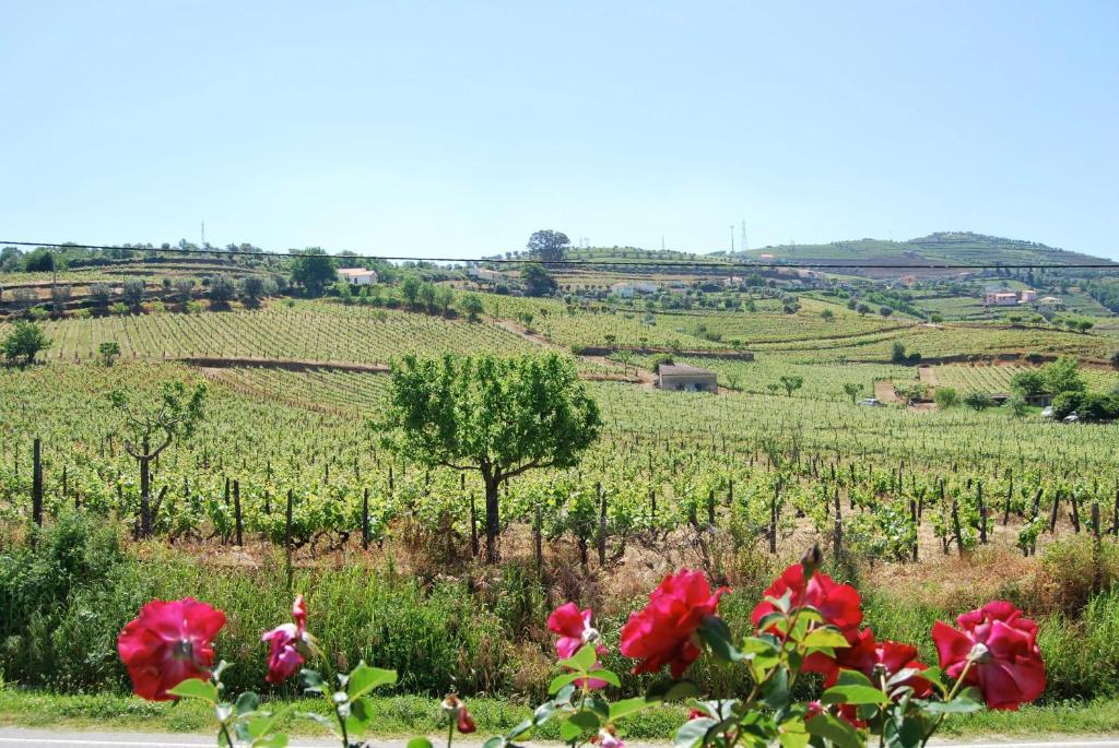 Quinta De Tourais Lamego Exterior foto